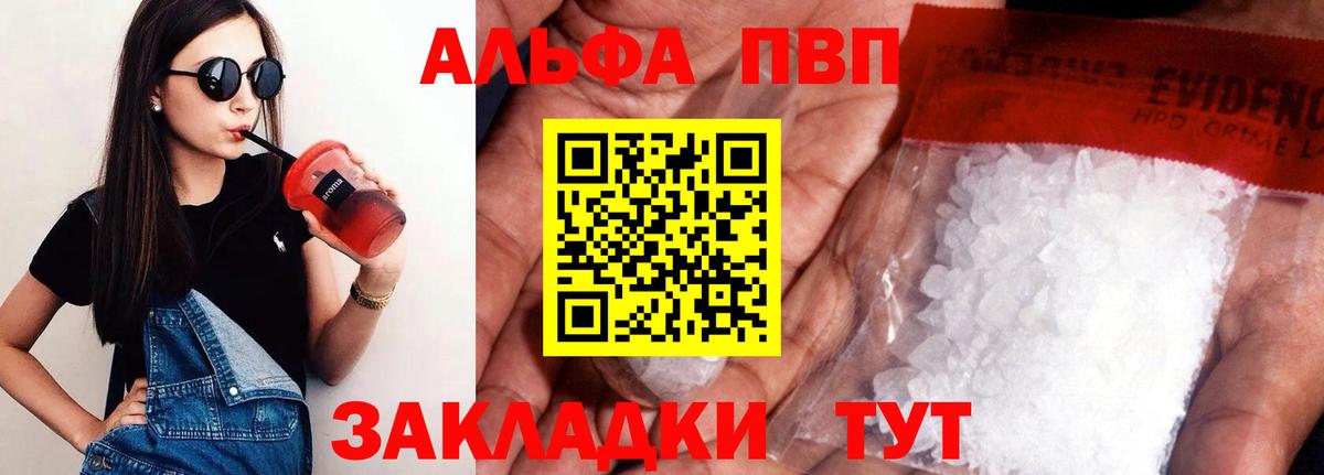 A PVP СК Новозыбков