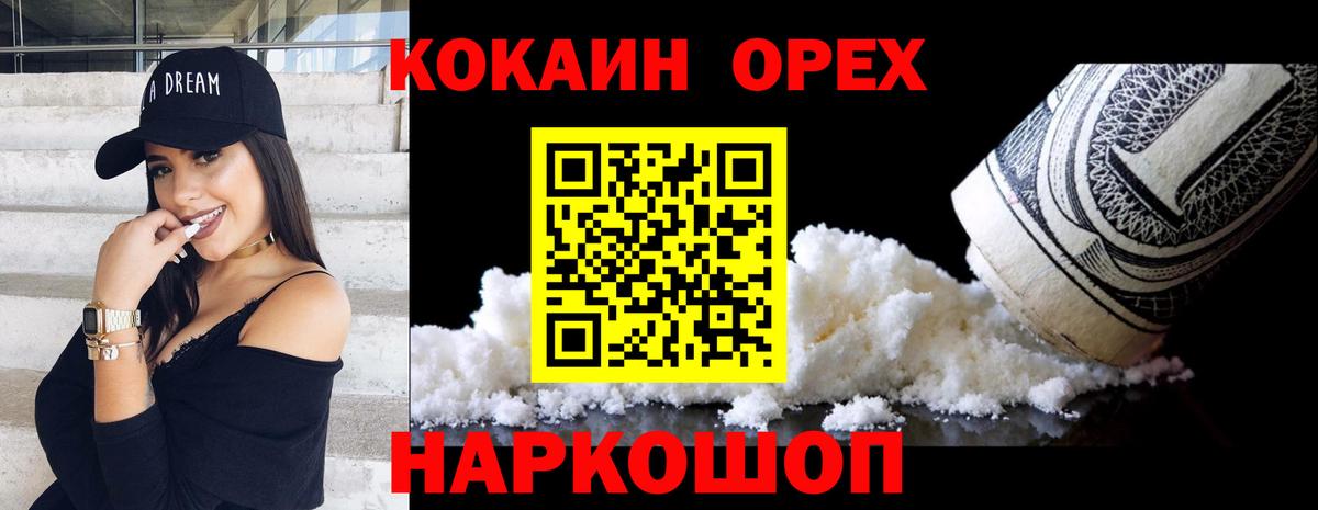 Псилоцибиновые грибы Новозыбков