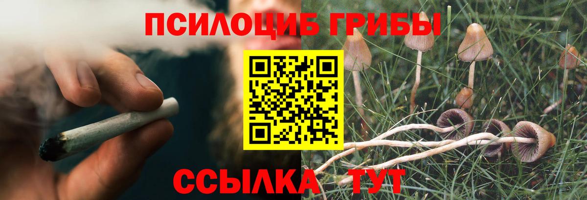 Новозыбков  Галлюциногенные грибы мицелий  Вход с VPN 